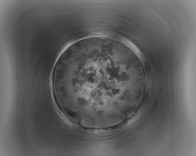 X0000111380907200907101123