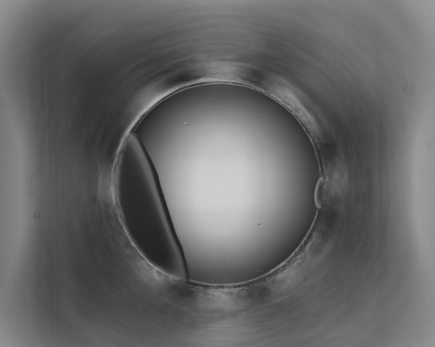 X0000111380908200907101123