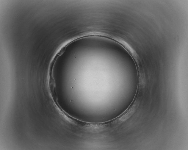 X0000111380910200907101123