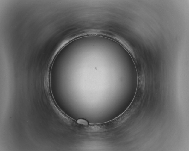 X0000111380911200907101123