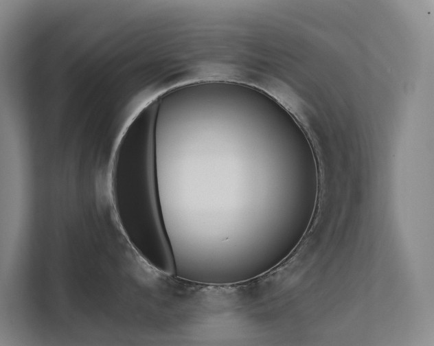X0000111380912200907101123