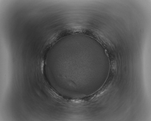 X0000111380916200907101123