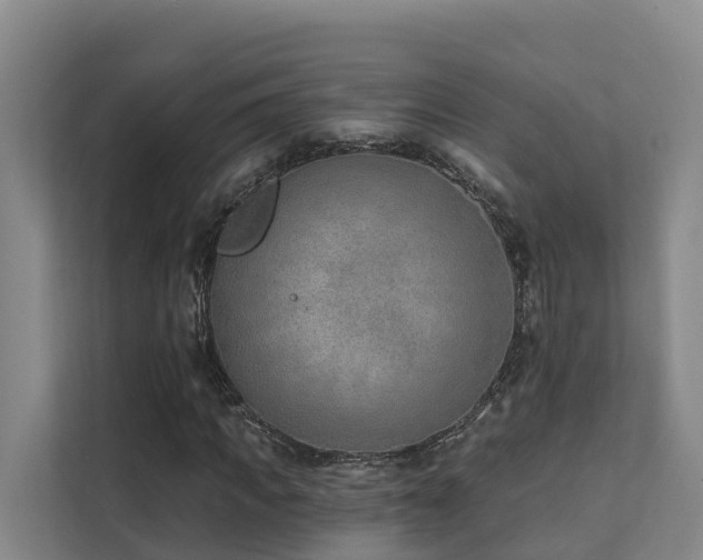 X0000111380917200907101123