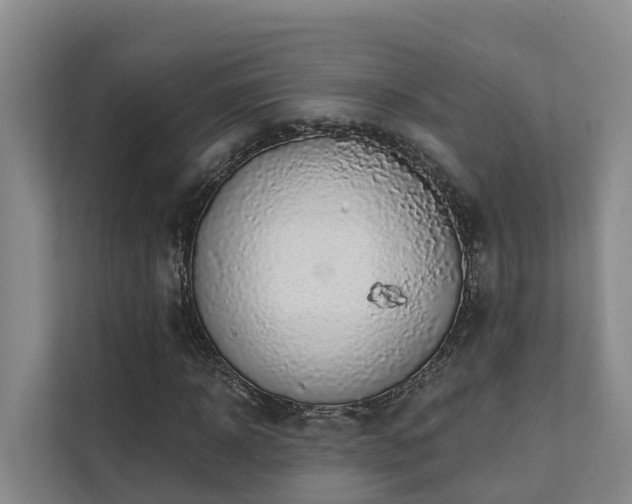 X0000111380918200907101123