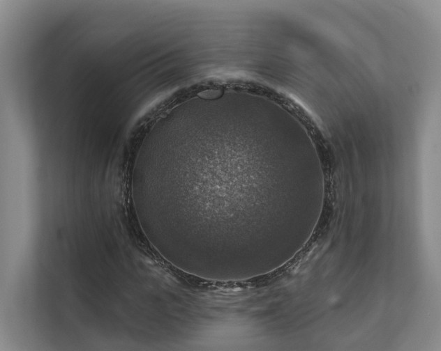 X0000111380919200907101123