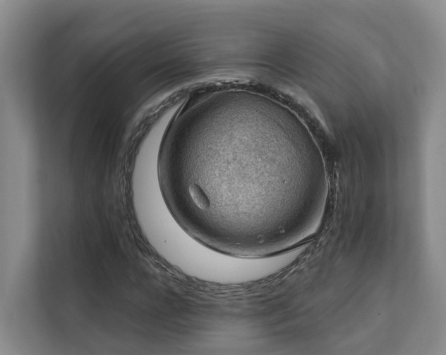X0000111380920200907101123