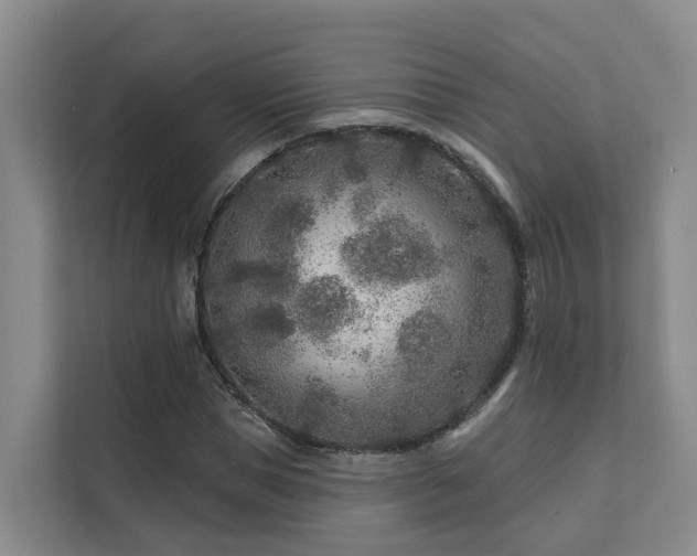 X0000111380921200907101123