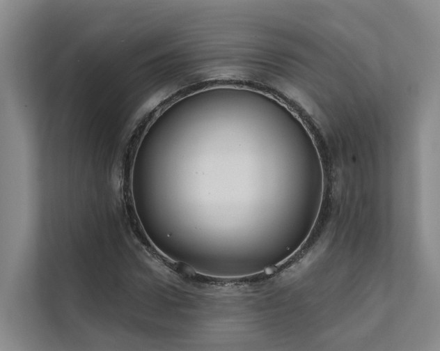 X0000111380922200907101123