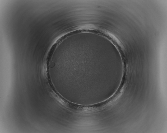 X0000111380923200907101123
