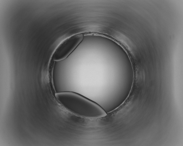 X0000111380924200907101123