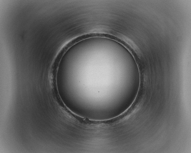 X0000111380926200907101123
