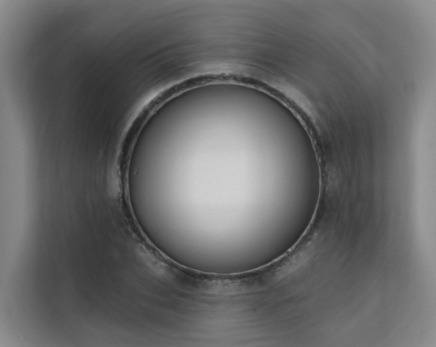 X0000111380927200907101123