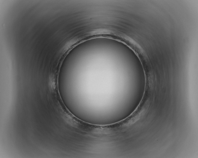 X0000111380929200907101123