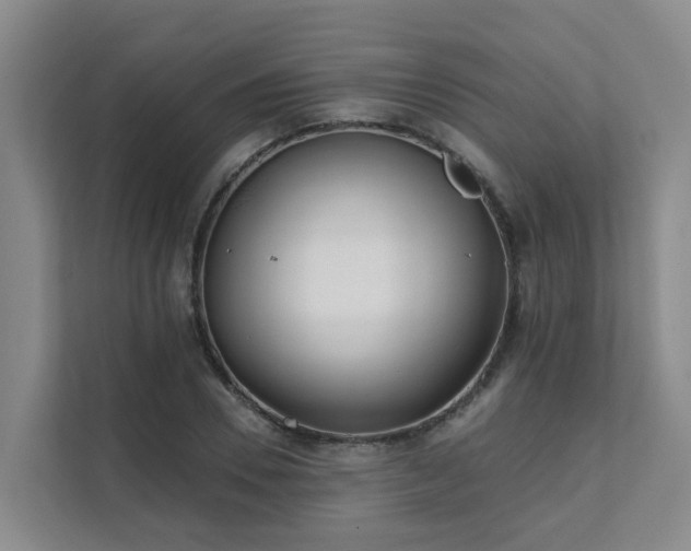 X0000111380930200907101123
