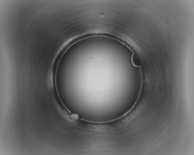 X0000111380934200907101123