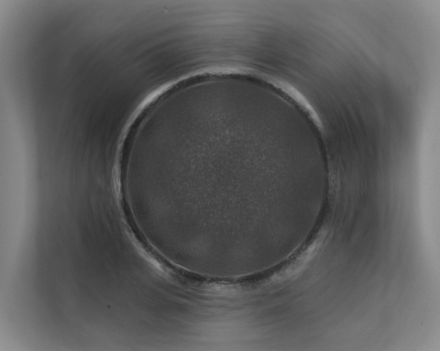 X0000111380935200907101123