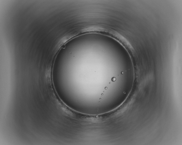 X0000111380937200907101123