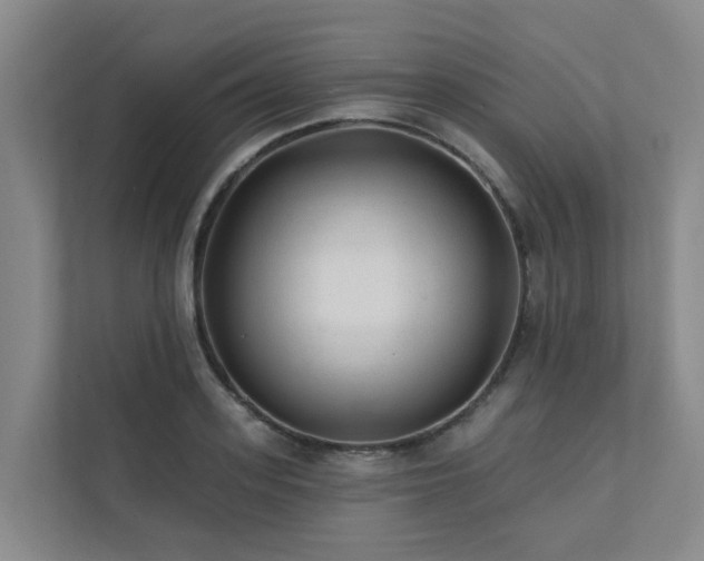 X0000111380939200907101123