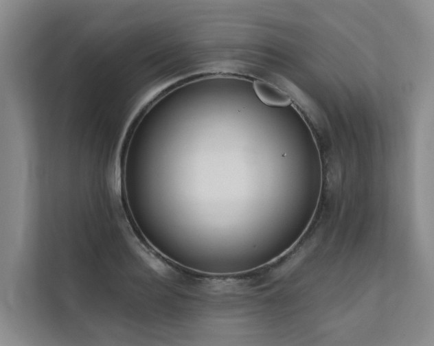 X0000111380940200907101123
