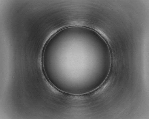 X0000111380941200907101123