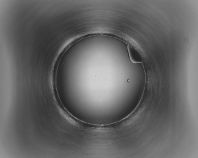 X0000111380942200907101123