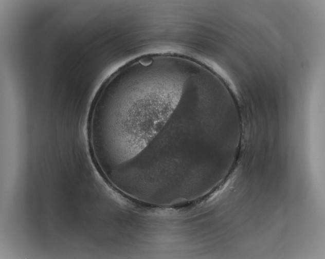 X0000111380943200907101123