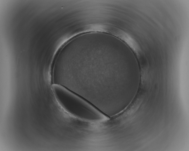 X0000111380944200907101123