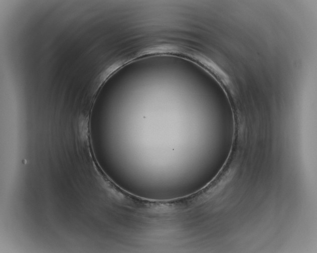 X0000111380945200907101123
