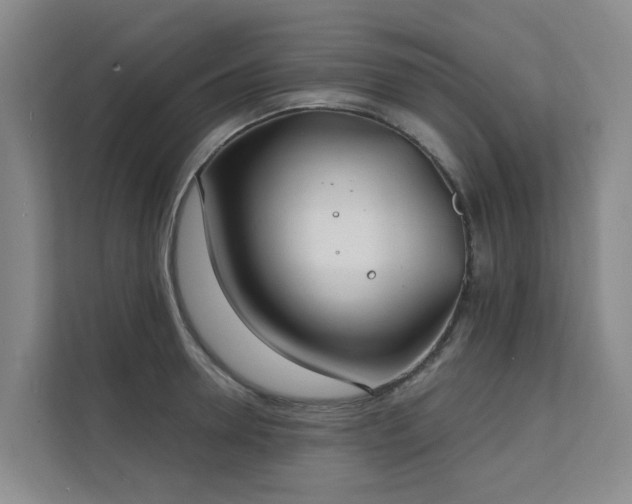 X0000111380946200907101123