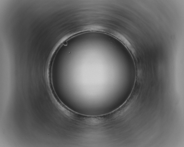 X0000111380947200907101123
