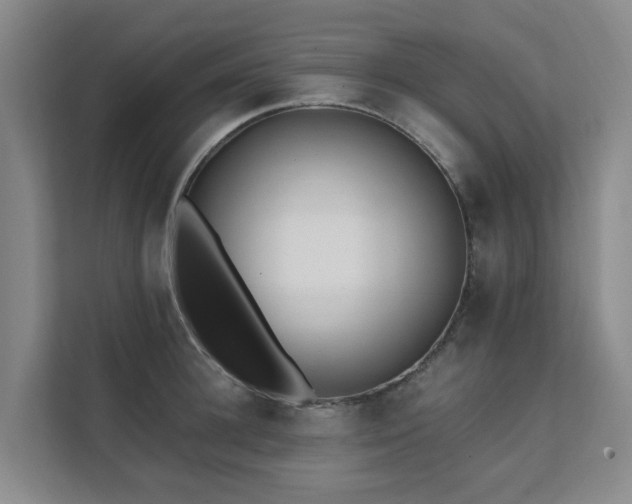 X0000111380948200907101123