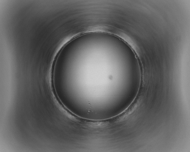 X0000111380949200907101123