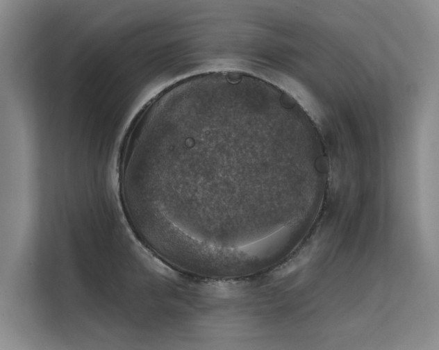 X0000111380950200907101123