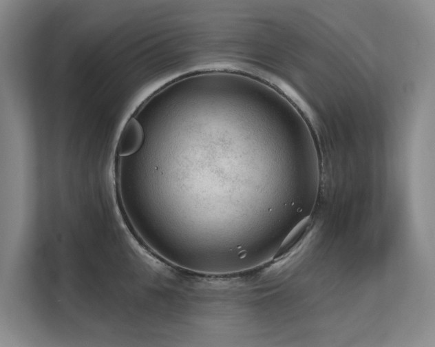 X0000111380951200907101123