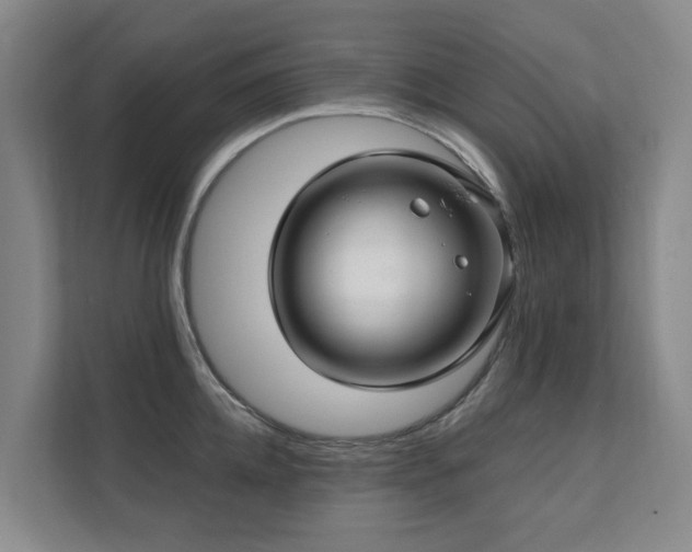 X0000111380952200907101123