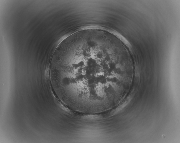 X0000111380953200907101123
