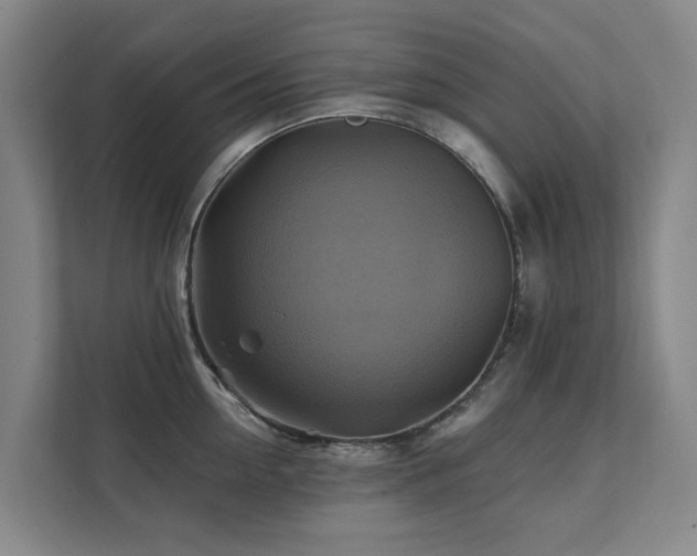 X0000111380954200907101123