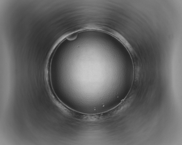X0000111380955200907101123