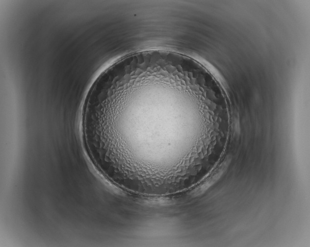 X0000111380957200907101123