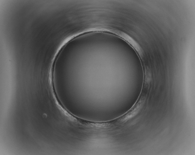 X0000111380958200907101123