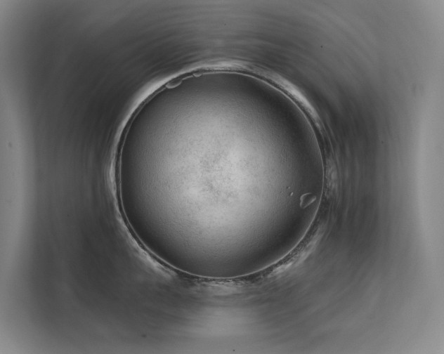 X0000111380959200907101123