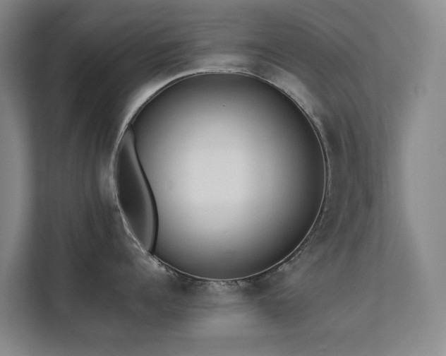 X0000111380960200907101123