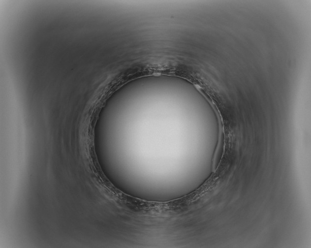 X0000111380961200907101123