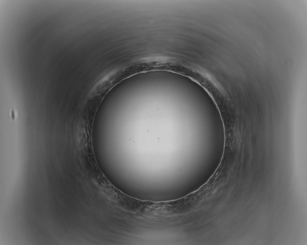 X0000111380967200907101123