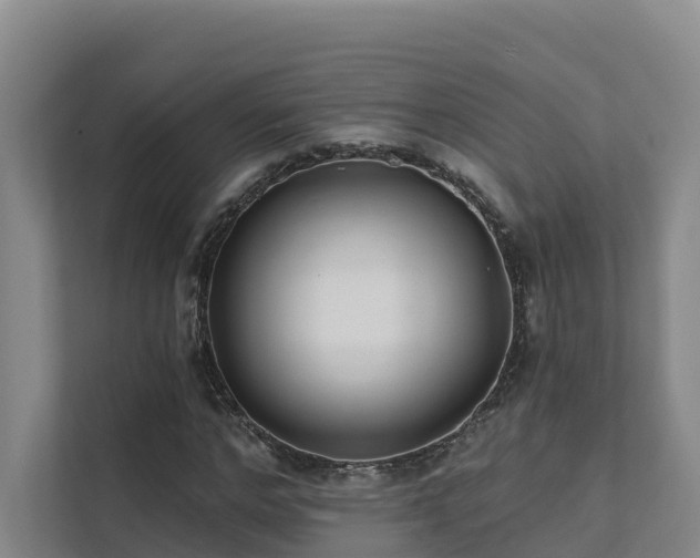 X0000111380968200907101123