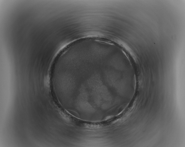 X0000111380975200907101123