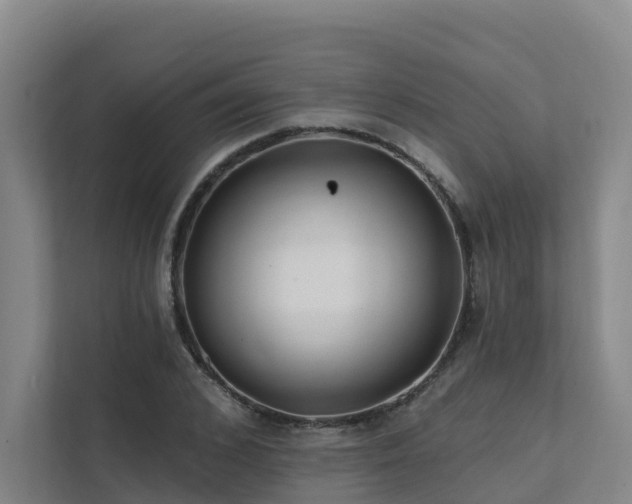 X0000111380976200907101123