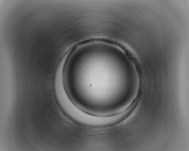 X0000111380977200907101123