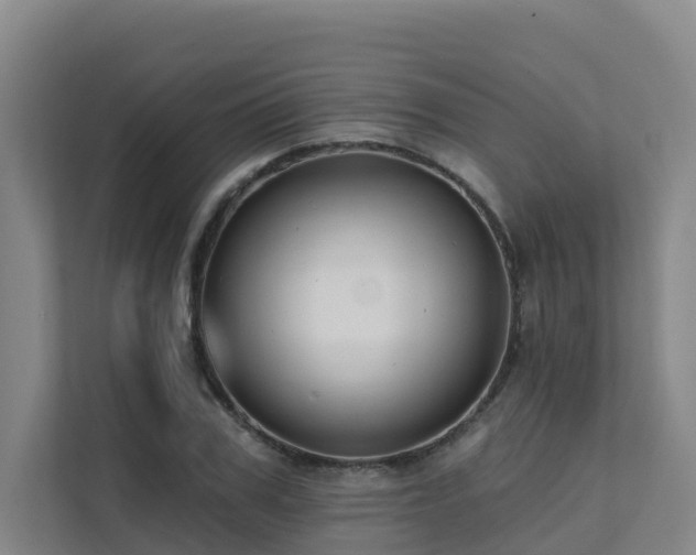 X0000111380979200907101123
