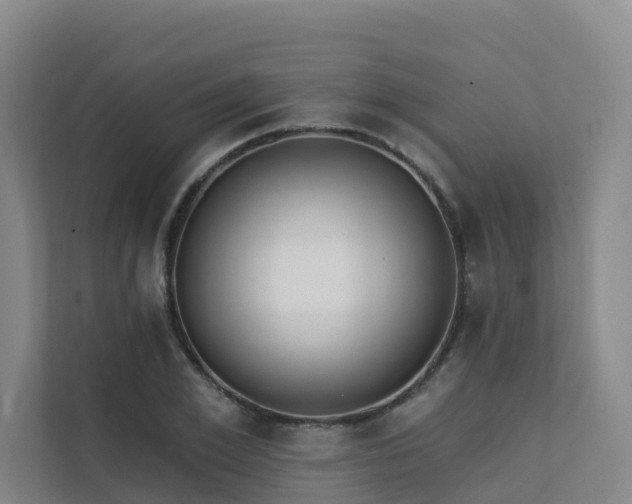 X0000111380981200907101123